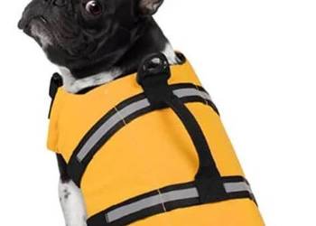 Kapok kamizelka ratunkowa dla psa nad wodę XS/S