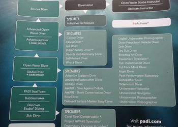 Plakat Nurkowy PADI na scianę System Szkolenia