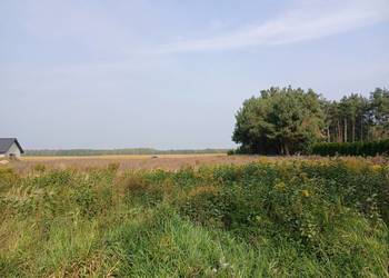 Działka budowlana z WZ, 1400 m² , Trzebnica – Ujeździec Mały (99 zł/m²)