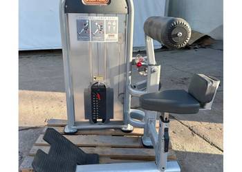 Maszyna dwufunkcyjna na brzuch i plecy Abdominal/Lower Back Star Trac