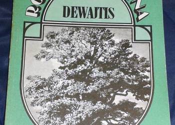 Dewajtis - Maria Rodziewiczówna