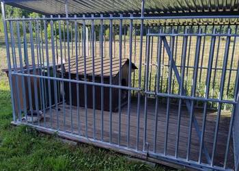 Kojec dla psa 3x2 z budą i podłogą
