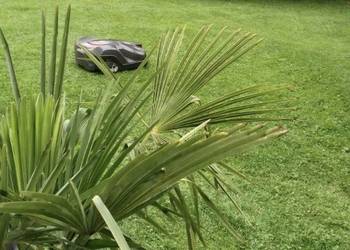 Sprzedam Robota Husqvuarna auto mower 330x