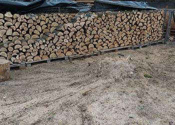 Drzewo opałowe kominkowe dąb i akacja