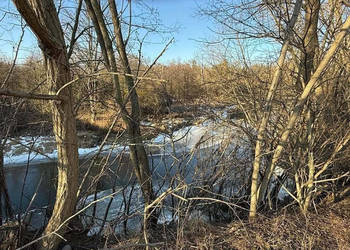 Oferuję działke rolną nad Bystrzycą, w Jerzmanowie