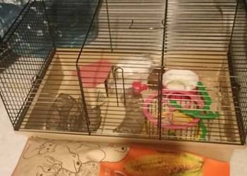 KLATKA dla CHOMIKA ZESTAW gryzonie tunele domek st.BDB