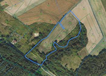 Działka rolna 2,80ha 3-4 klasa Podzamek Golubski