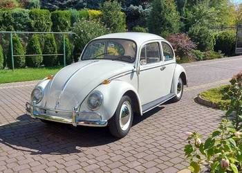 VW Garbus 1965r Beetle