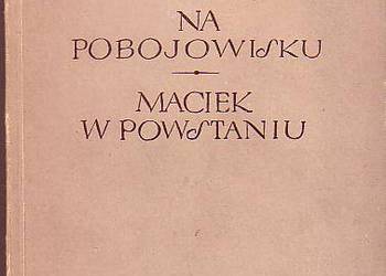 (5981) NA POBOJOWISKU – MACIEK W POWSYANIU – SEWER (IGNACY M