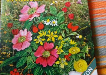 Zioła źródłem zdrowia-leksykon