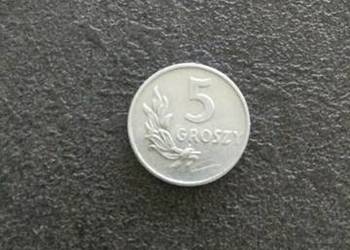Moneta 5 gr 1949