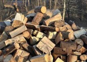 Drewno Kominkowe I Gałęziówka Buk Dąb Grab Brzoza Sosna Jesion SEZONOWANE