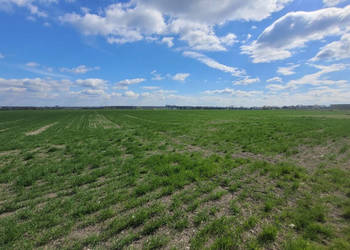 Sprzedaż 1,58 ha - budownictwo mieszkaniowe Opole