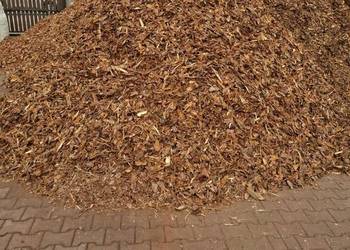 Kora Sosnowa workowana drobna, średnia, gruba , luze, Zgierz, okolice