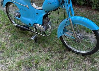 Ryś Mr1B 1963