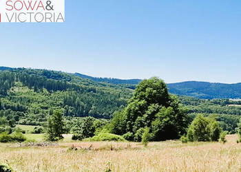 Natura Przestrzeń Spokój i Góry Sowie