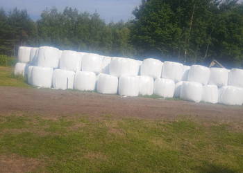 Sianokiszonka Sianokiszonka