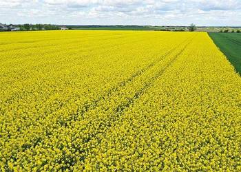 Dzierżawa nieużytki