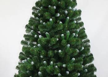Choinka sosna kanadyjska 120 cm + stojak GRATIS!