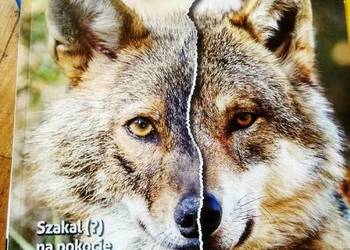 Brać łowiecka księgarnie Warszawa