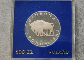H4) POLSKA srebro - 100 Złotych - 1977 r. - Żubr