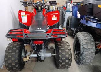 Polaris Pheanix 200 Quady hom L7E Kymco Cfmoto Goes Linhai Sym Adly Honda