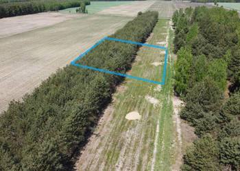 Działka z WZ w Wólce Gonciarskiej gm. Kazanów.