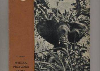 Wielka przygoda słoni - Blond Wielka przygoda słoni - Blond
