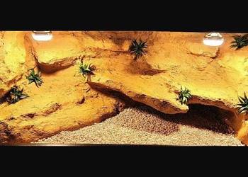 Terrarium od Egzo Systems dla agamy brodatej żółwia greckiego