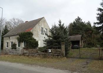 Dom wiejski bez sąsiadów  lubuskie ok. Janiszowic