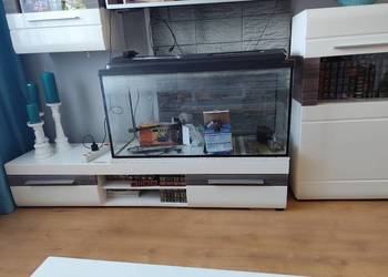 Akwarium oddam 100x40x50h