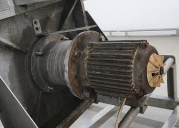 Piła z prowadnicą do ryb, mięsa