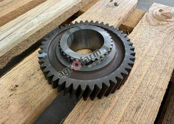 Koło Zębate Z44 Case Farmall 105, Luxxum 100.