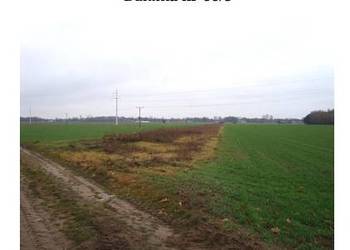 Syndyk Sprzeda Działki w miejscowości Krępa