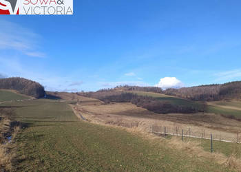 Działka rolna w atrakcyjnej cenie