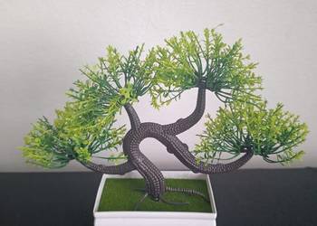 Drzewko bonsai