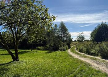 Działka z możliwością zabudowy blisko j. Białe