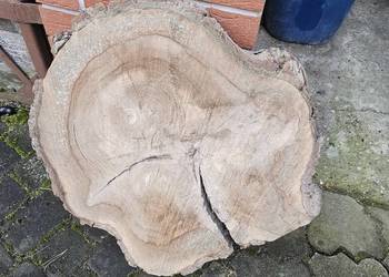 Plaster drewna orzech