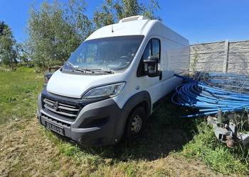 Fiat Ducato 2.3 Mutijet 2016r chłodnia FV23%