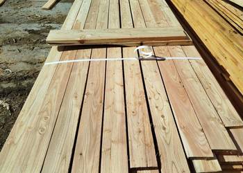 Deska modrzew 100x22 x 5000, 4000, 3000