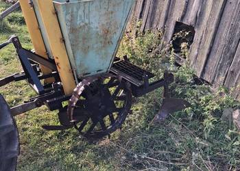 Sadzarka kubelkowa Biedaszki