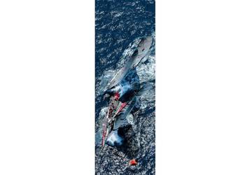 Obraz - America's Cup - klasyka, styl marynistyczny