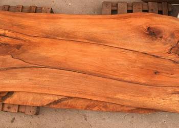 Blaty z litego drzewa mango