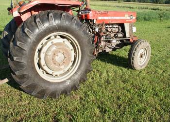 Ciągnik Massey Ferguson MF158 wspomaganie stan BDB b.kosa likfidaja gosp.