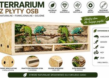 Terrarium z płyty OSB 150x60x60