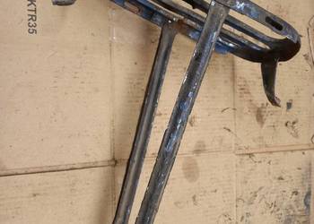 Bagaznik komar sztywniak