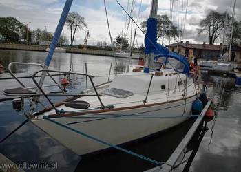 jacht żaglowy CARTER 30, dł.9 m zanurz. 1,5m, 36 m2 żagla
