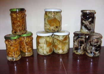 Ekologiczne grzybki i jagody