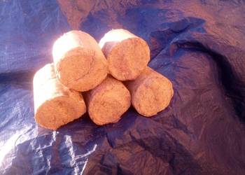 Brykiet drzewny na podajnik Faleńczyk drzewo węgiel opał Ekogroszek