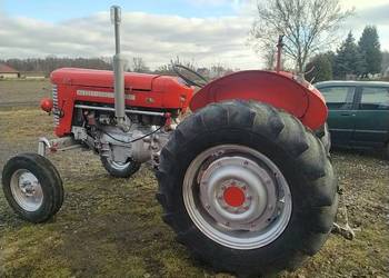 Ferguson 65 cały na części